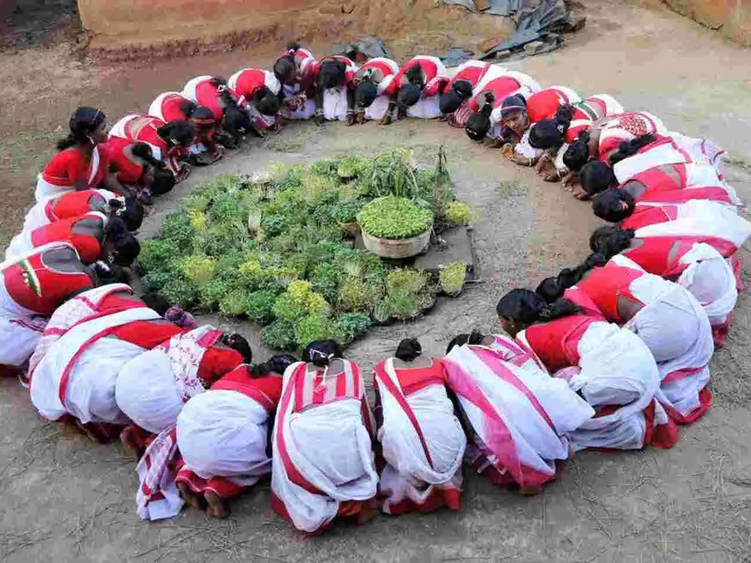 প্রাণের উৎসব  জাওয়া - করম | Festival of Life Jawa-Karam