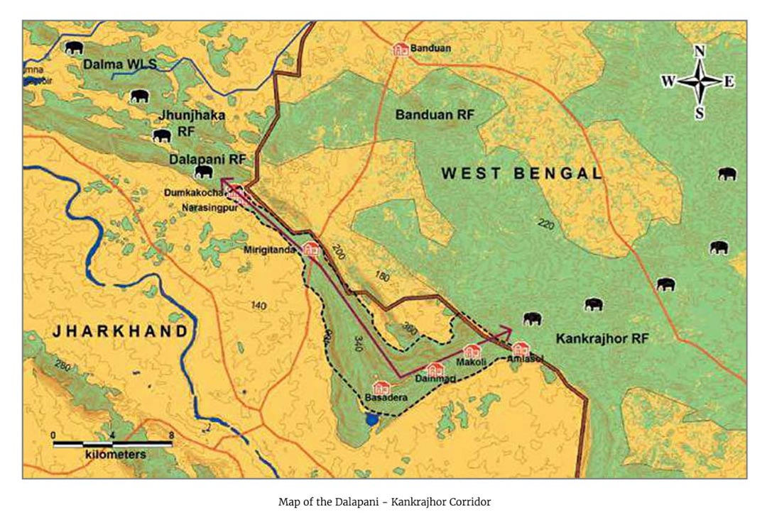 মেদিনীপুরের হাতি, অবহেলা ও উদ্বেগ | Elephent of Medinipur, negligence and concern