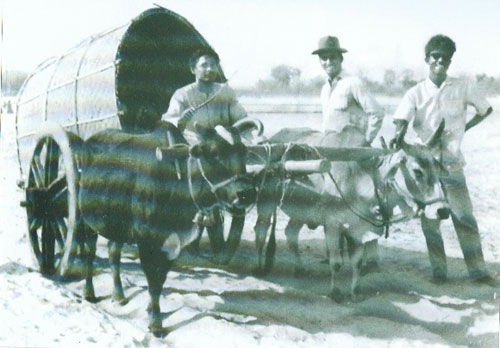 Album photos of Prabodh Bhowmik - 1963 - Prabodh Bhowmick with students during his research in Jhargram