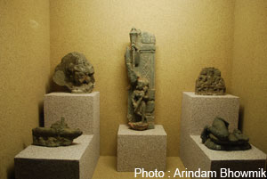 Bidisha anthropology museum - Photo by Arindam Bhowmik