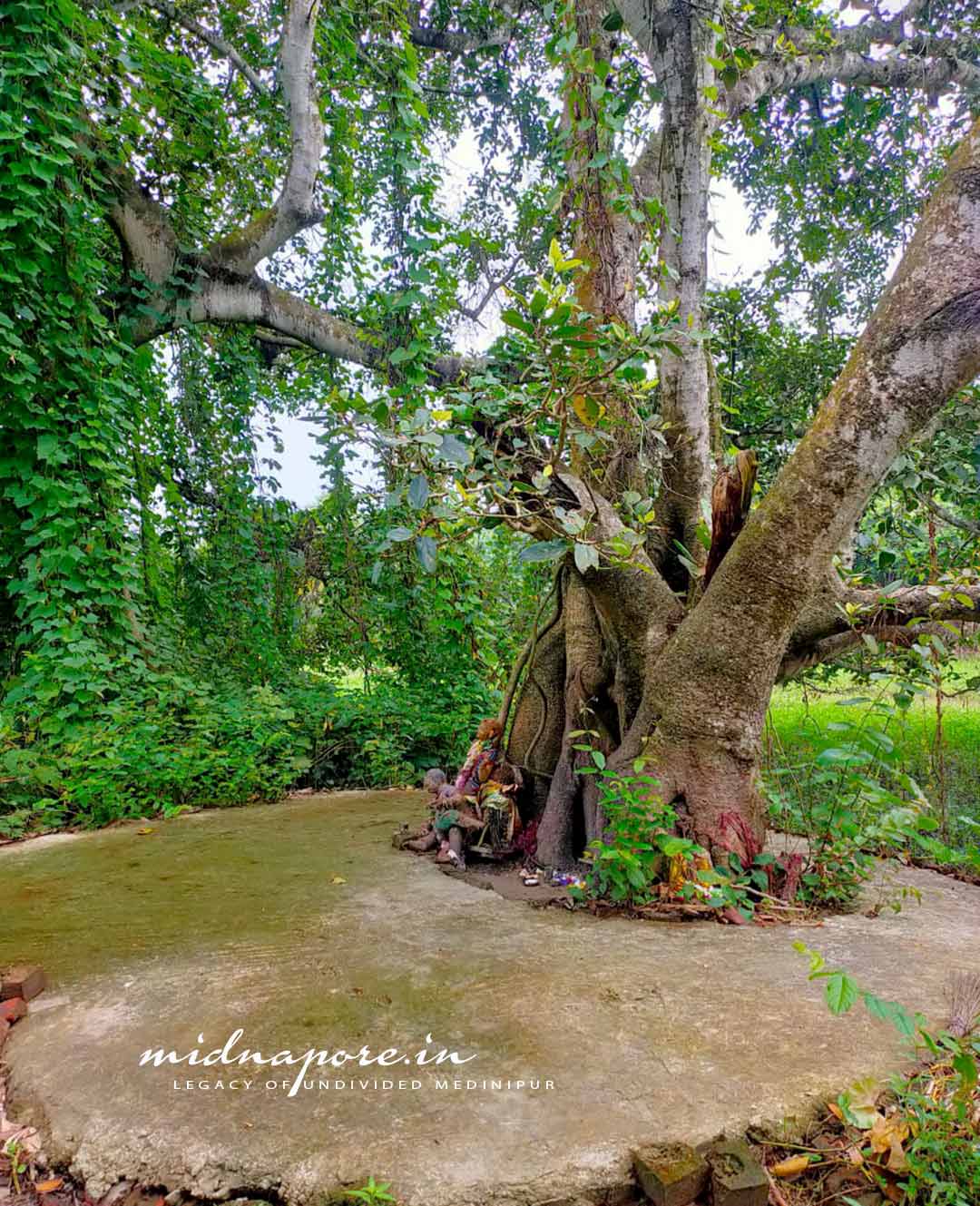 দ্বিজ রামেশ্বর : এক কবি ও সাধকের কথা | Poet Dwija Rameswar | कवि द्विज रामेश्वर