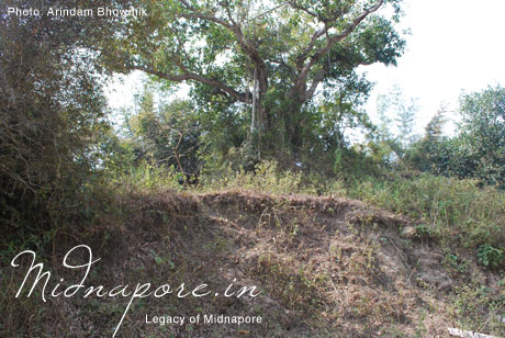 Dhantikri