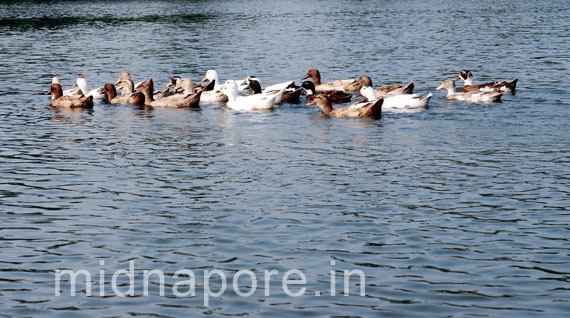 Moyna Garh, East Medinipur. Photo: Arindam Bhowmik