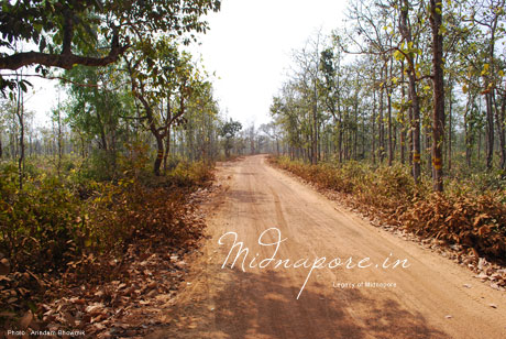 Benai Garh